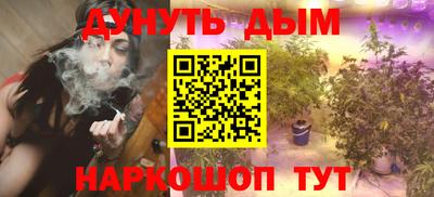 крисы Аргун