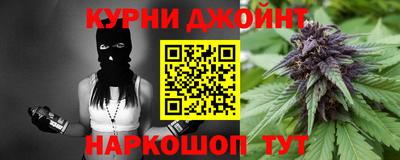 крисы Аргун