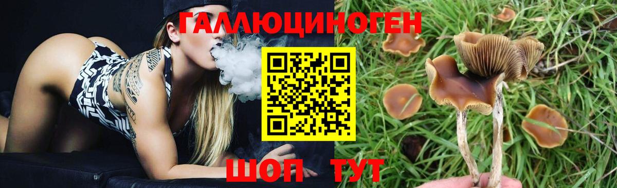 Галлюциногенные грибы Magic Shrooms Богородицк
